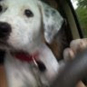 Meet your Posher, Tia